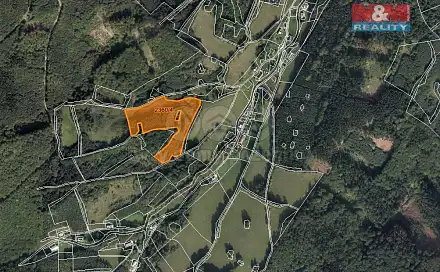 Prodej lesa 23 052 m², Vápenná, okres Jeseník