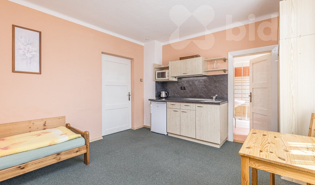 Prodej domu 300 m² s pozemkem 968 m², Kašperské Hory – náhled fotky 7