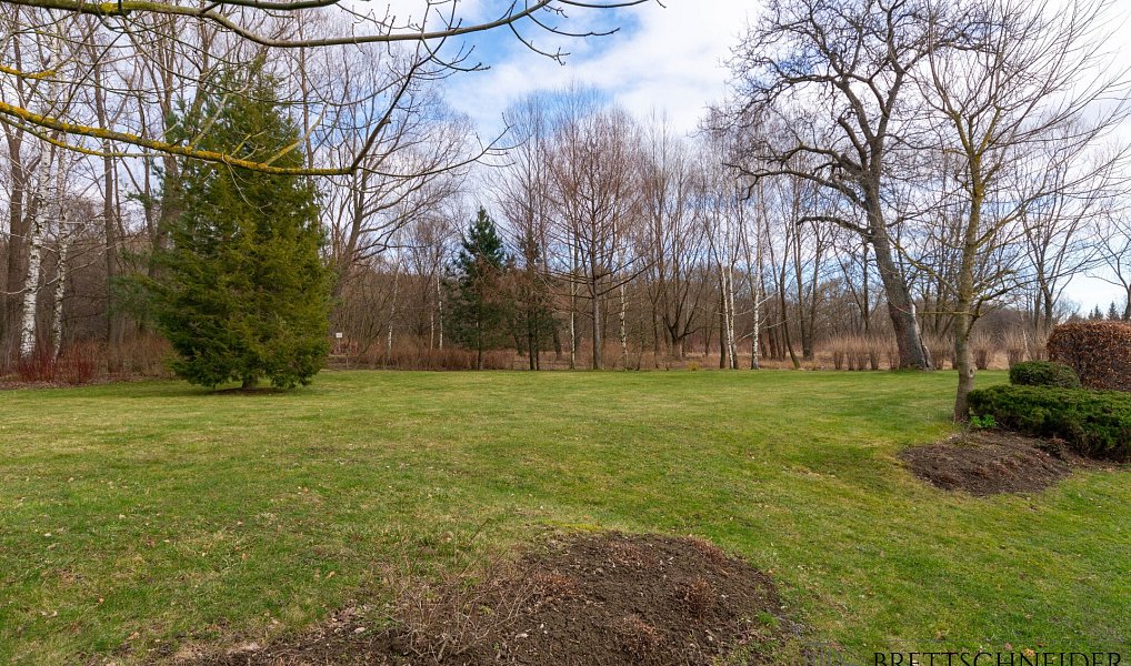 Prodej zahrady 3 160 m², Město Albrechtice – náhled fotky 19