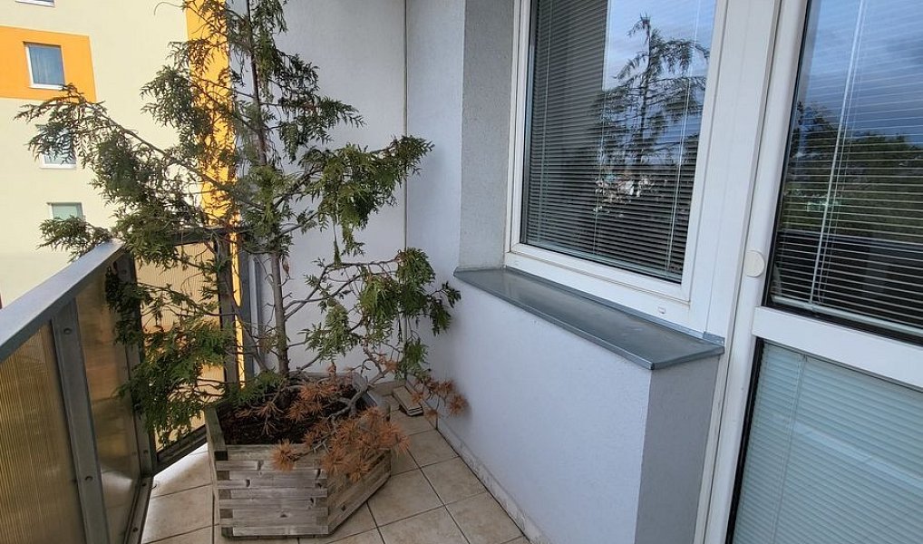 Pronájem bytu 3+1 73 m², Třebíč – náhled fotky 17