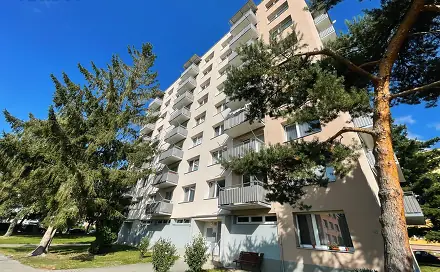 Pronájem bytu 1+1 40 m², třída Přátelství, Písek - Budějovické Předměstí