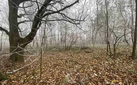 Prodej stavebního pozemku 2 192 m², Frýdlant - Albrechtice u Frýdlantu, okres Liberec