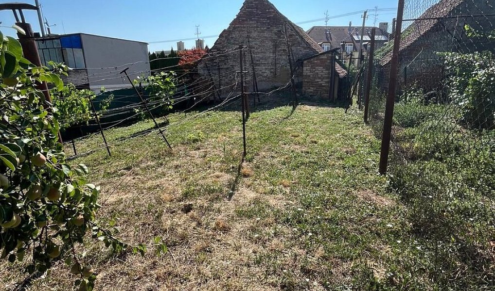 Prodej chaty/chalupy 80 m² s pozemkem 98 m², Dolní Bojanovice – náhled fotky 8