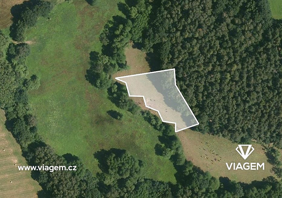 Prodej pole 3 122 m² – fotografie 2