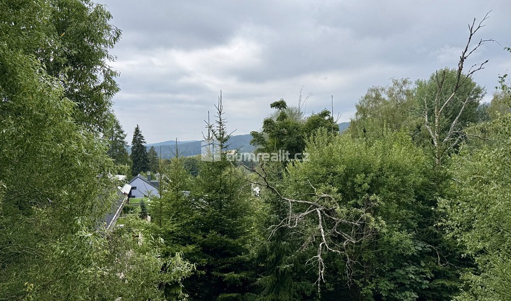 Prodej domu 300 m² s pozemkem 1 292 m², Železná Ruda – náhled fotky 44