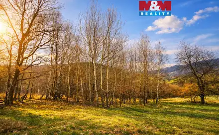 Prodej louky 5 876 m², Mikulůvka, okres Vsetín