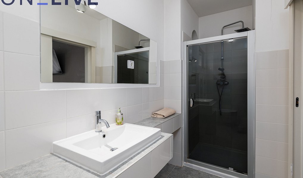 Prodej ubytovacího objektu 480 m², Starý Plzenec – náhled fotky 11