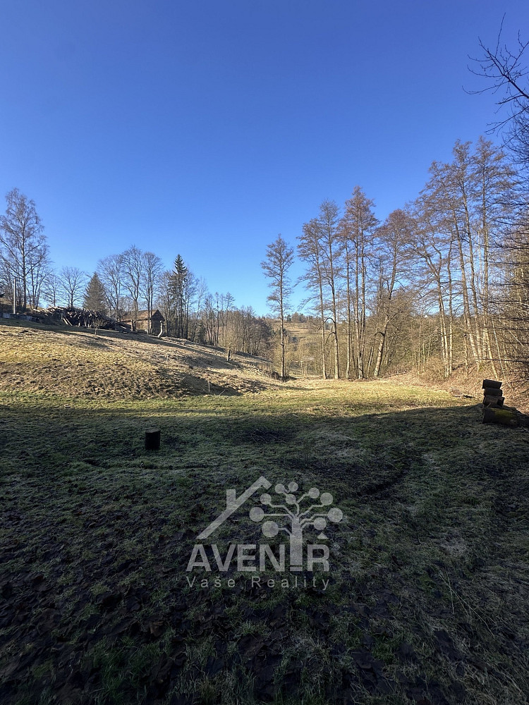 Prodej louky 5 815 m²