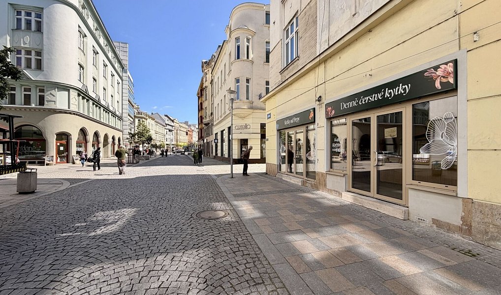 Pronájem obchodních prostor 60 m², Ostrava – náhled fotky 10