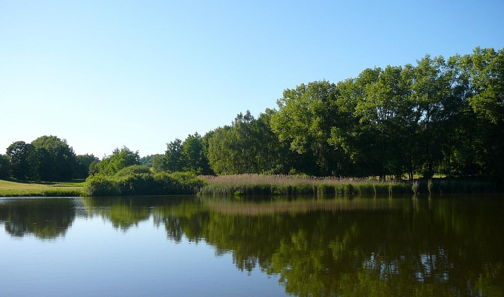 Prodej domu 1 000 m² s pozemkem 133 323 m², Štoky – náhled fotky 5