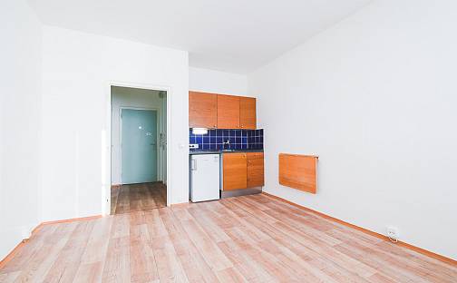 Pronájem bytu 1+kk 23 m², Halasovo náměstí, Brno - Lesná