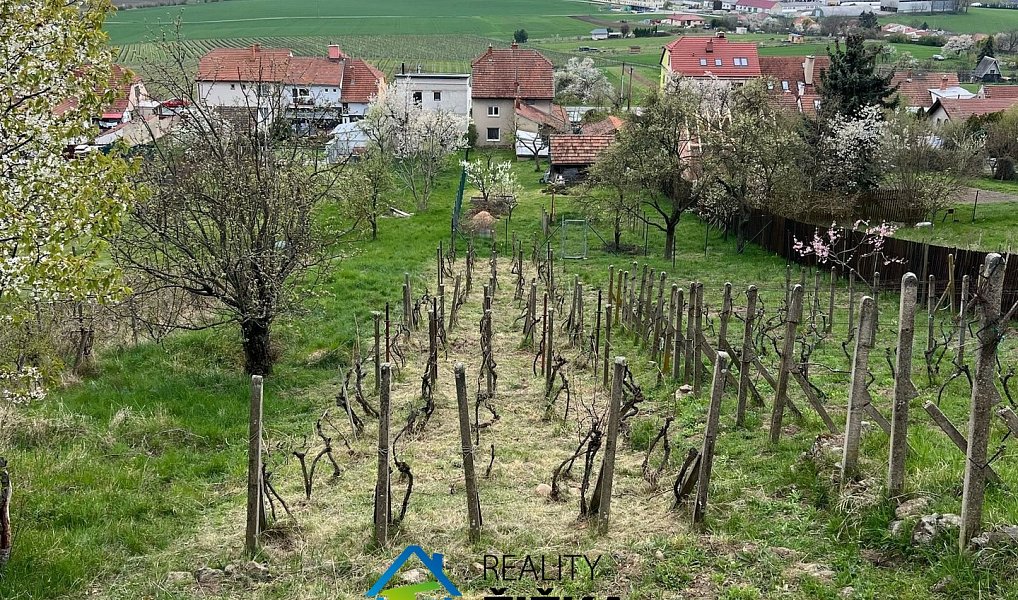 Prodej zahrady 942 m², Viničné Šumice – náhled fotky 2