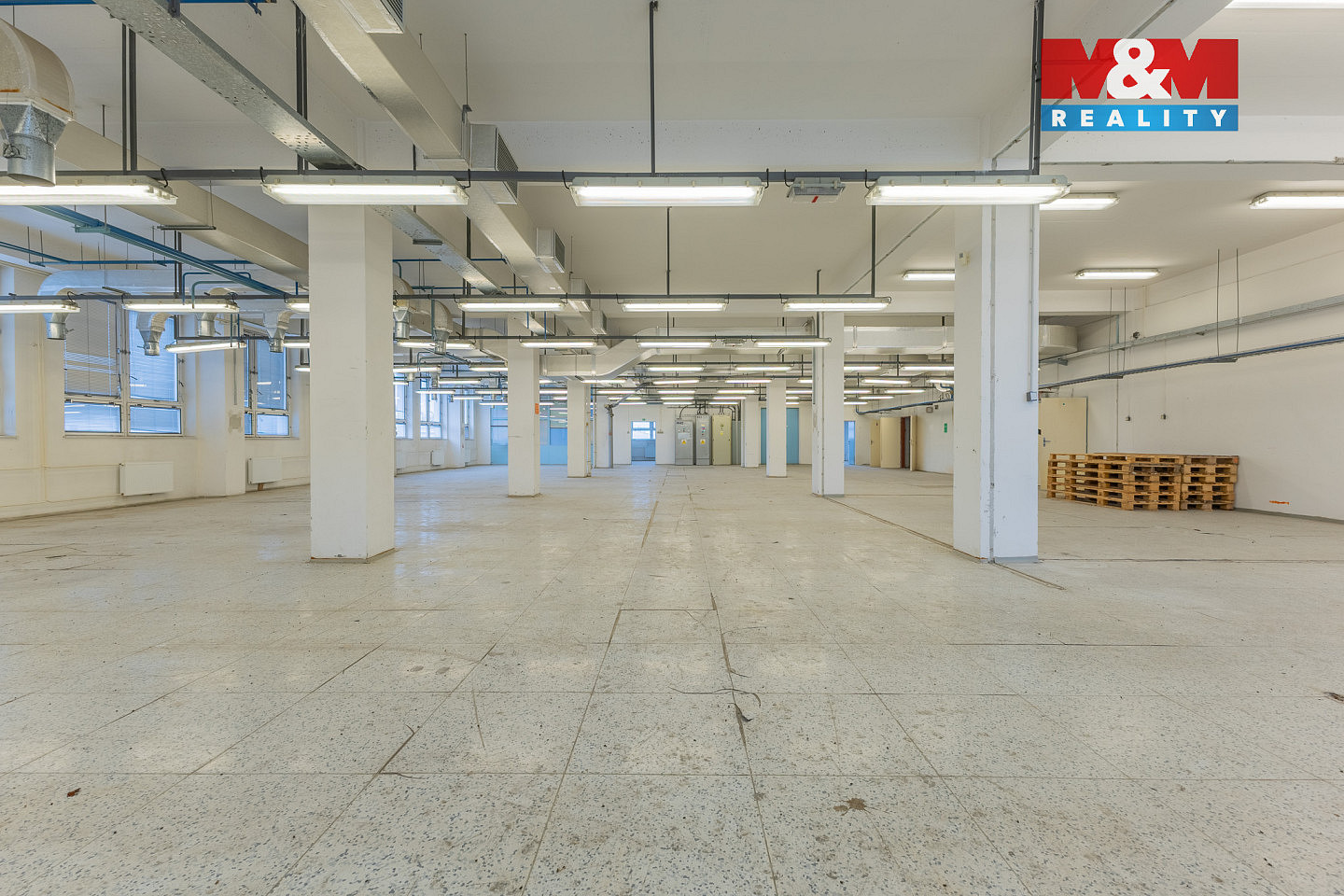Pronájem skladovacích prostor 724 m² — photo 4
