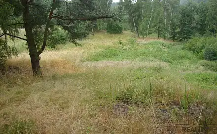 Prodej zahrady 2 000 m², Krušovice, okres Rakovník