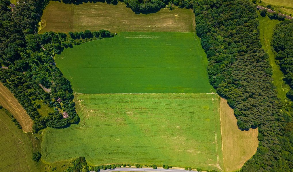Prodej komerčního pozemku 97 400 m², Žďárek – náhled fotky 4