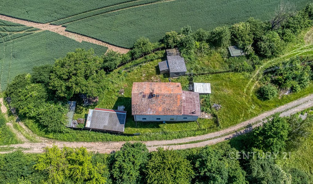 Prodej domu 341 m² s pozemkem 1 120 m², Močovice – náhled fotky 4