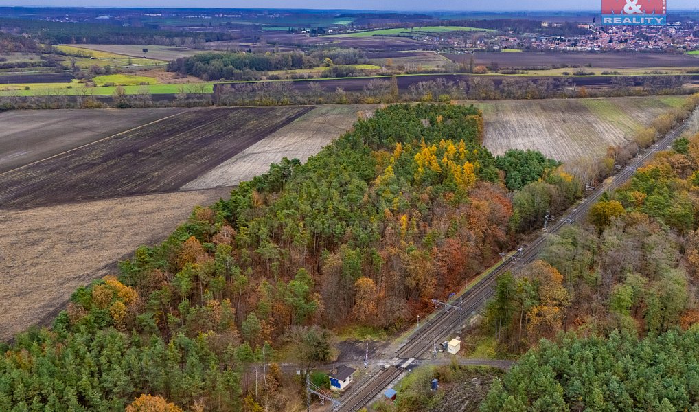Prodej lesa 6 436 m², Lysá nad Labem – náhled fotky 3