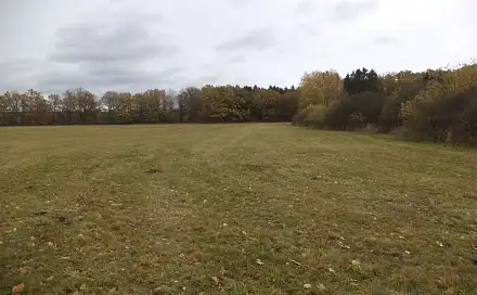 Prodej pole 26 461 m², Ždírec, okres Plzeň-Jih