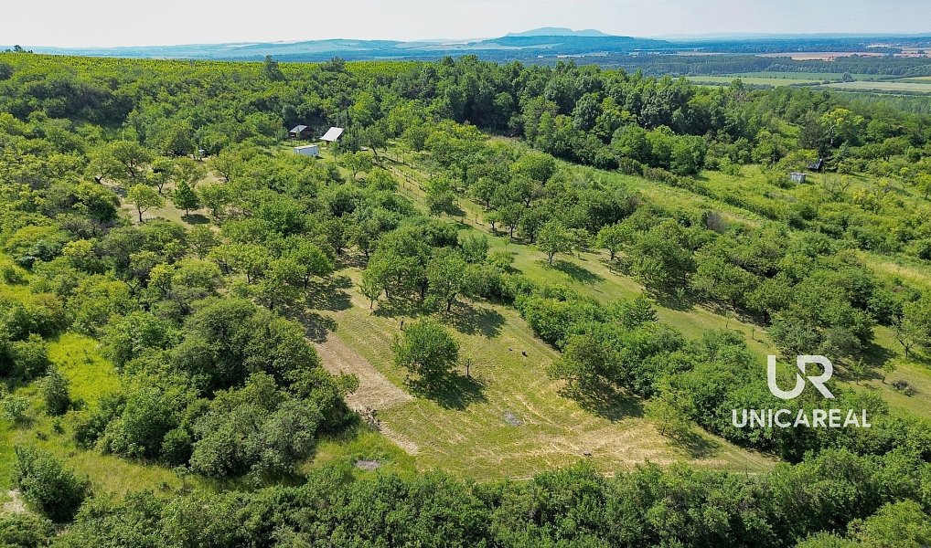 Prodej pole 3 851 m², Židlochovice – náhled fotky 6