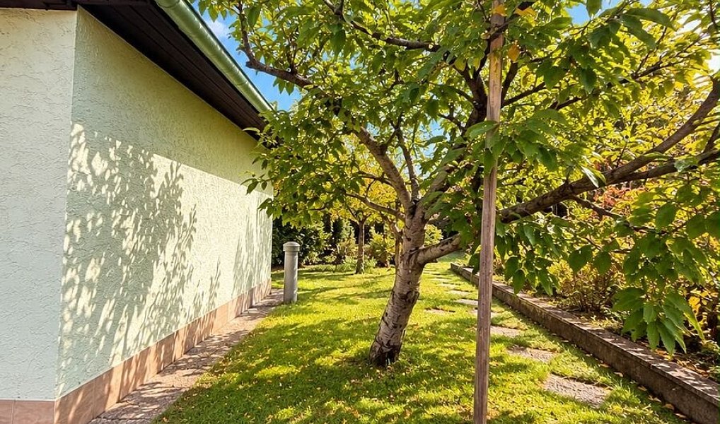 Prodej zahrady 23 m², Bílina – náhled fotky 8