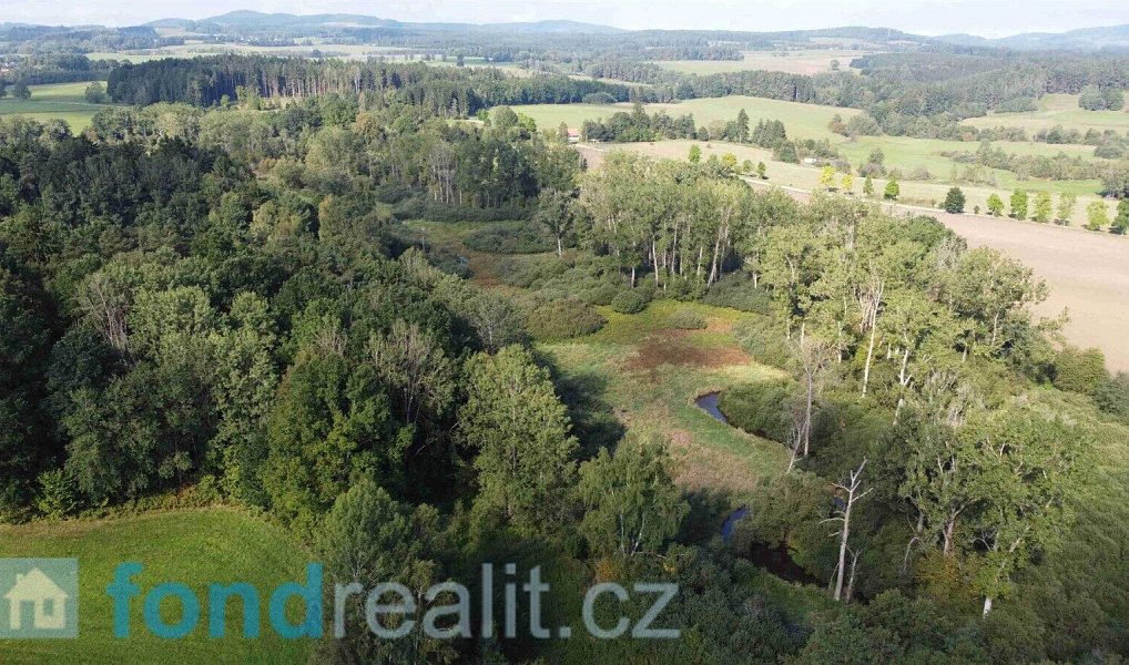 Prodej pozemku 24 285 m², Dolní Dvořiště – náhled fotky 2