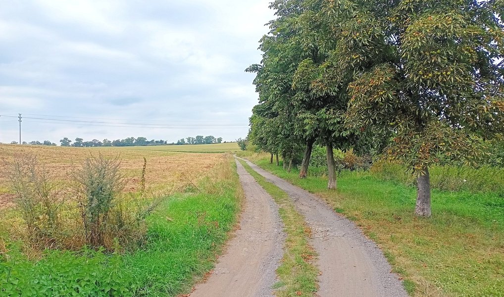 Prodej stavebního pozemku 1 516 m², Rakovník – náhled fotky 18