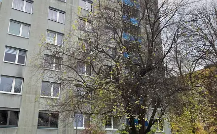 Prodej bytu 2+1 57 m², Na Rybníku, Uherské Hradiště