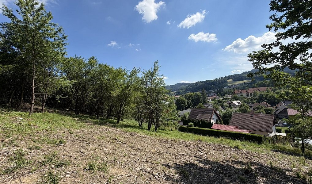 Prodej stavebního pozemku 1 781 m², Hošťálková – náhled fotky 7
