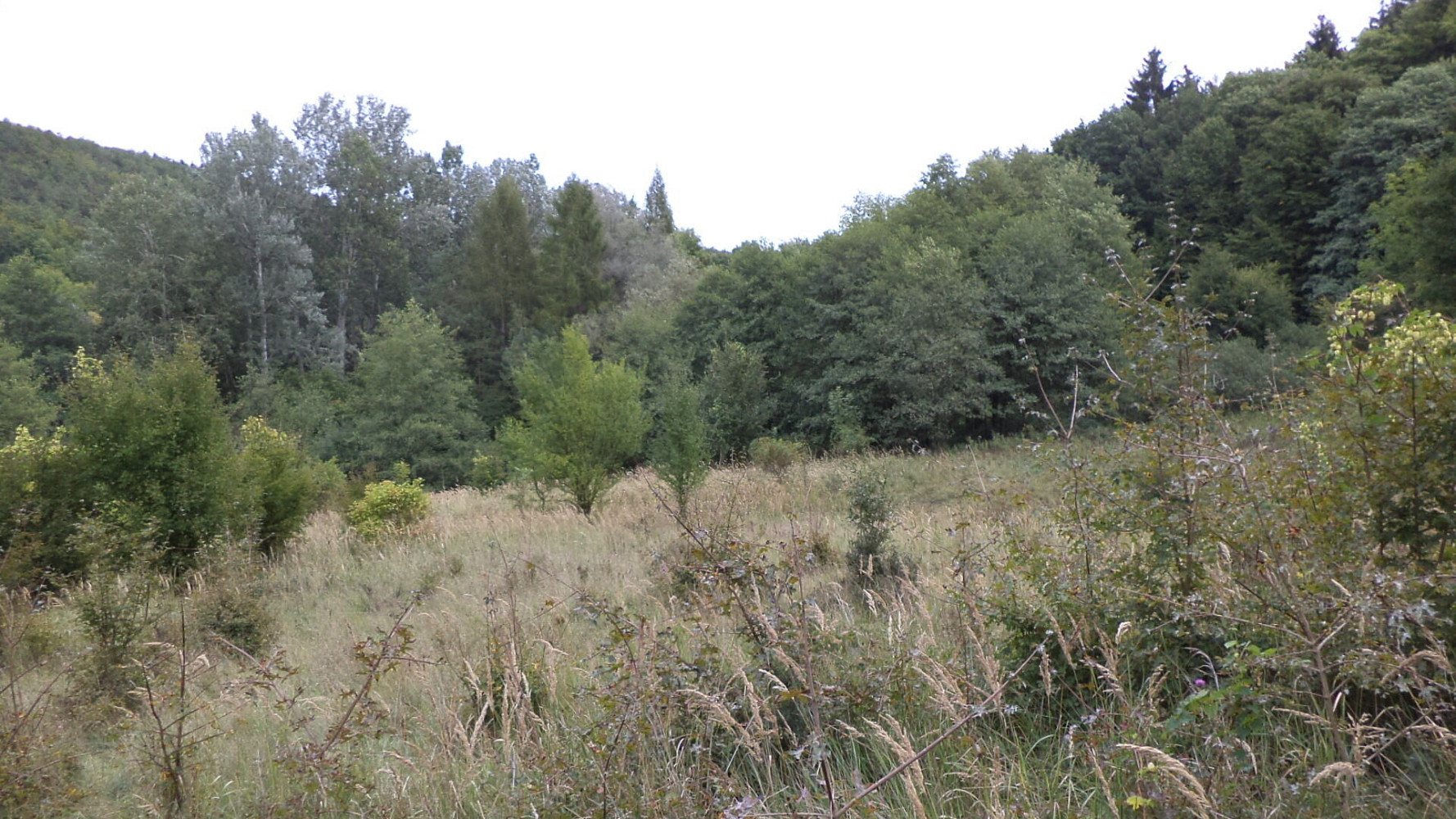 Prodej pole 1 953 m² — photo 2