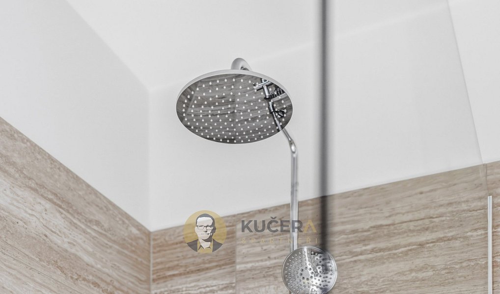 Prodej domu 145 m² s pozemkem 600 m², Nemyslovice – náhled fotky 17
