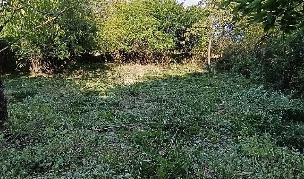 Prodej stavebního pozemku 1 232 m², Hluchov – náhled fotky 9