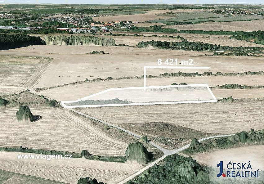Prodej pole 1 403 m² – fotografie 2