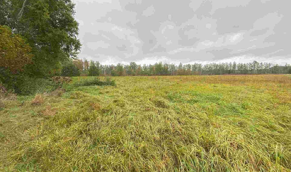 Prodej pozemku 15 915 m², Mydlovary – náhled fotky 2