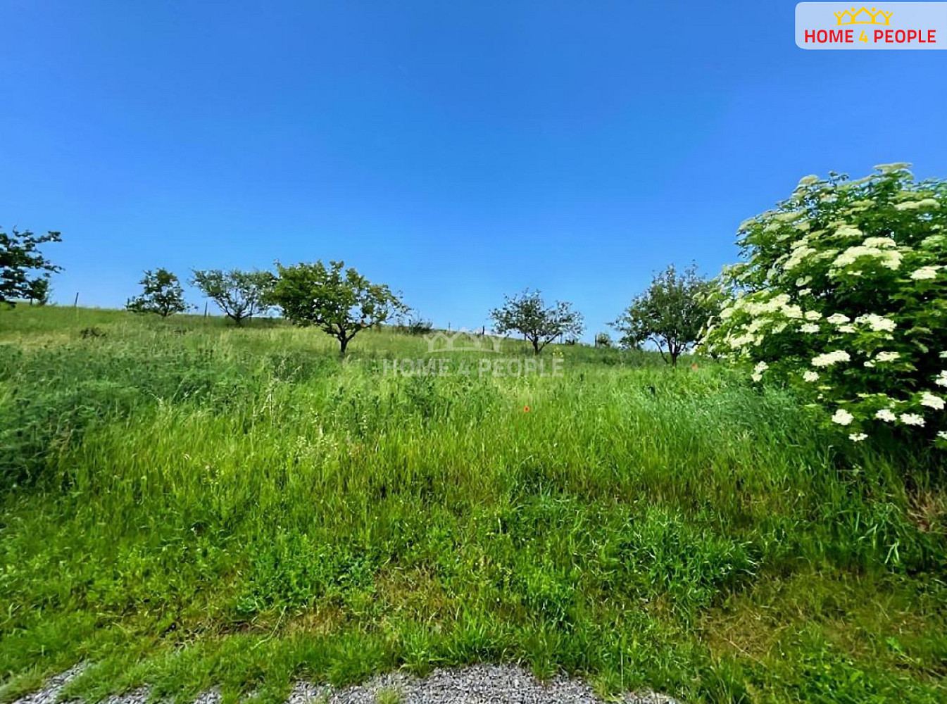 Prodej stavebního pozemku 1 255 m² — photo 4