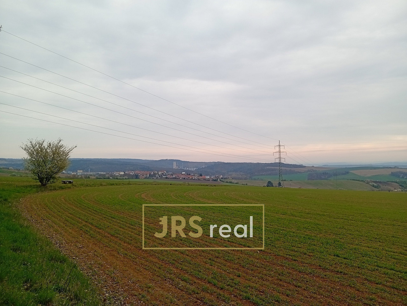 Prodej pole 2 507 m² — photo 5
