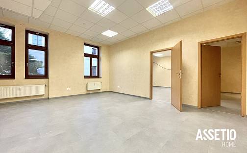 Pronájem obchodních prostor 100 m², Havlíčkova, Uherské Hradiště