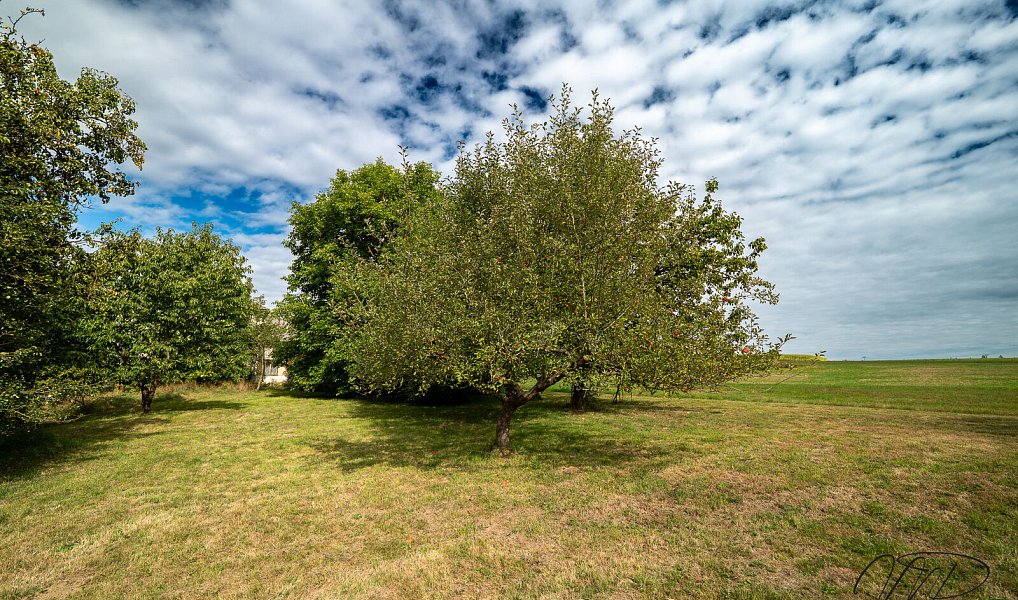 Prodej stavebního pozemku 1 454 m², Habry – náhled fotky 3