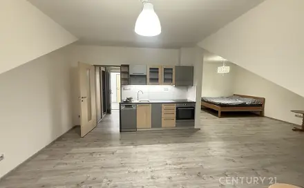 Pronájem bytu 1+kk 48 m²
