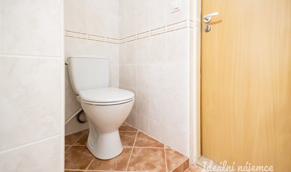 Pronájem bytu 1+kk 47 m², Šestajovice – náhled fotky 10
