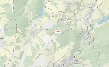 Dražba lesa 2 302 m², Ludkovice