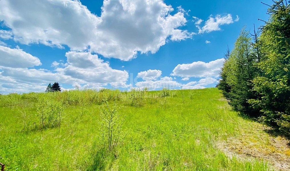 Prodej stavebního pozemku 11 336 m², Velká Hleďsebe – náhled fotky 11