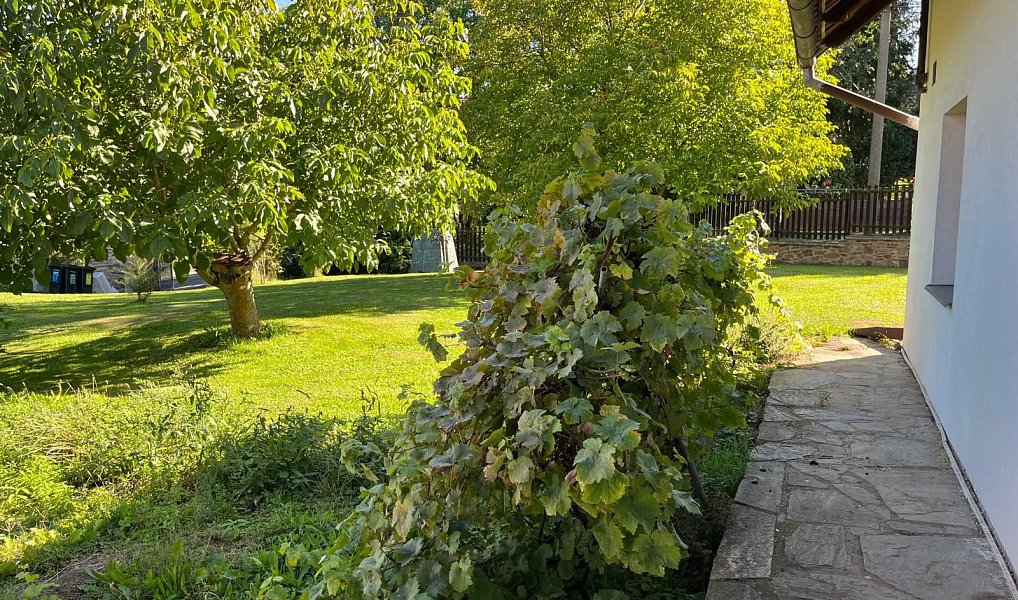 Prodej domu 184 m² s pozemkem 1 210 m², Barchovice – náhled fotky 5