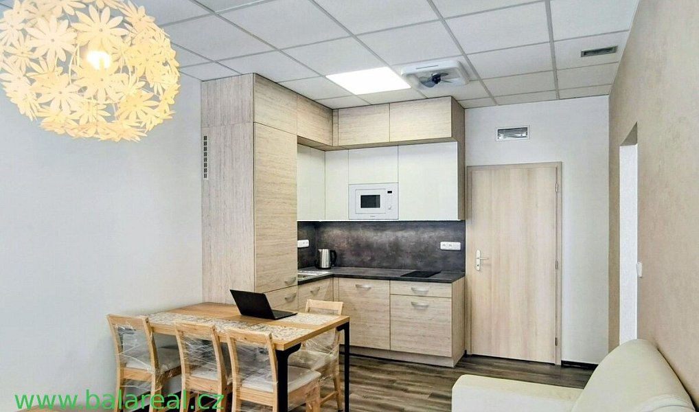 Pronájem bytu 2+kk 46 m², Brno – náhled fotky 4