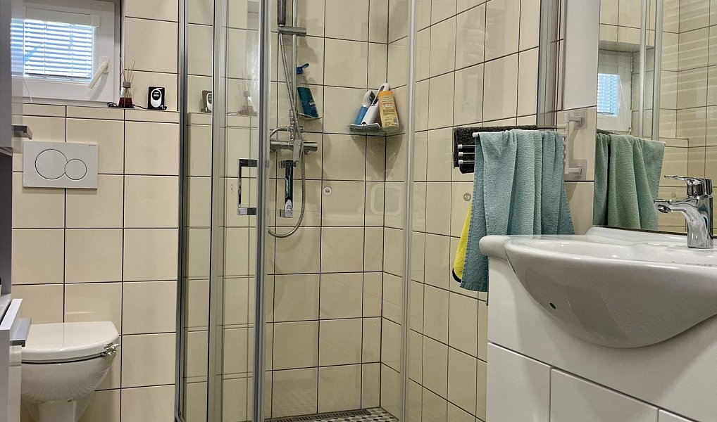 Pronájem bytu 1+1 40 m², Ostrava – náhled fotky 6