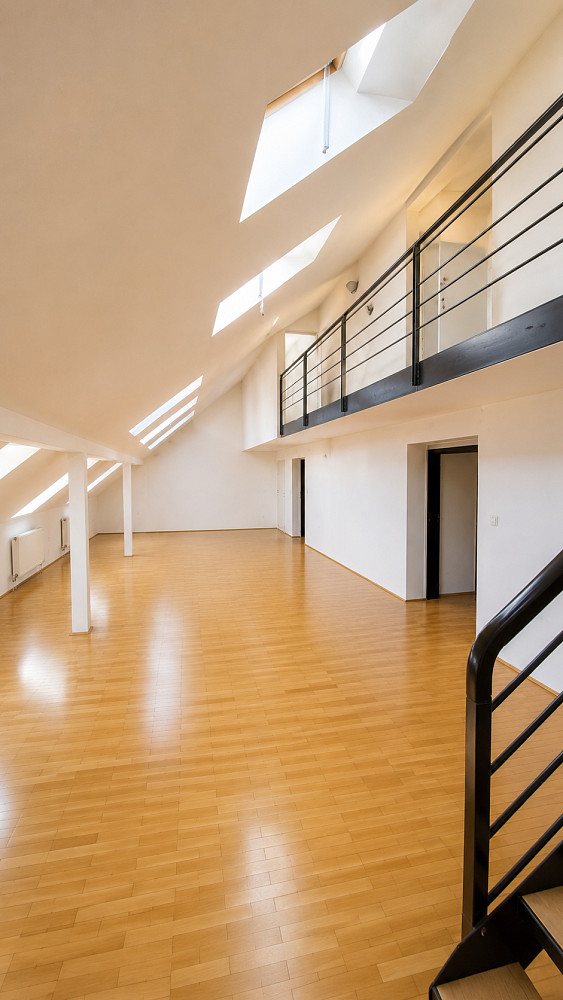 Pronájem bytu 4+1 219 m² — photo 2