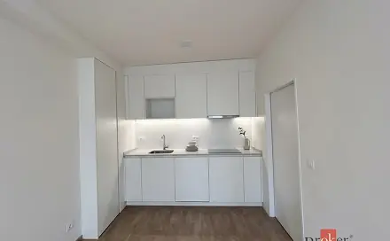 Pronájem bytu 1+kk 33 m²