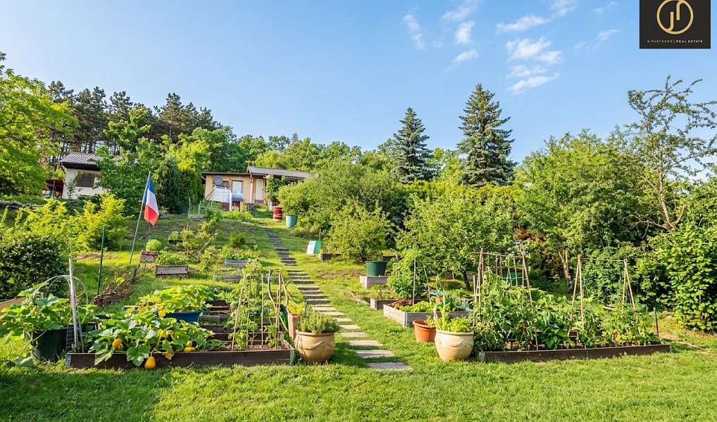 Prodej zahrady 732 m², Brandýsek – náhled fotky 2