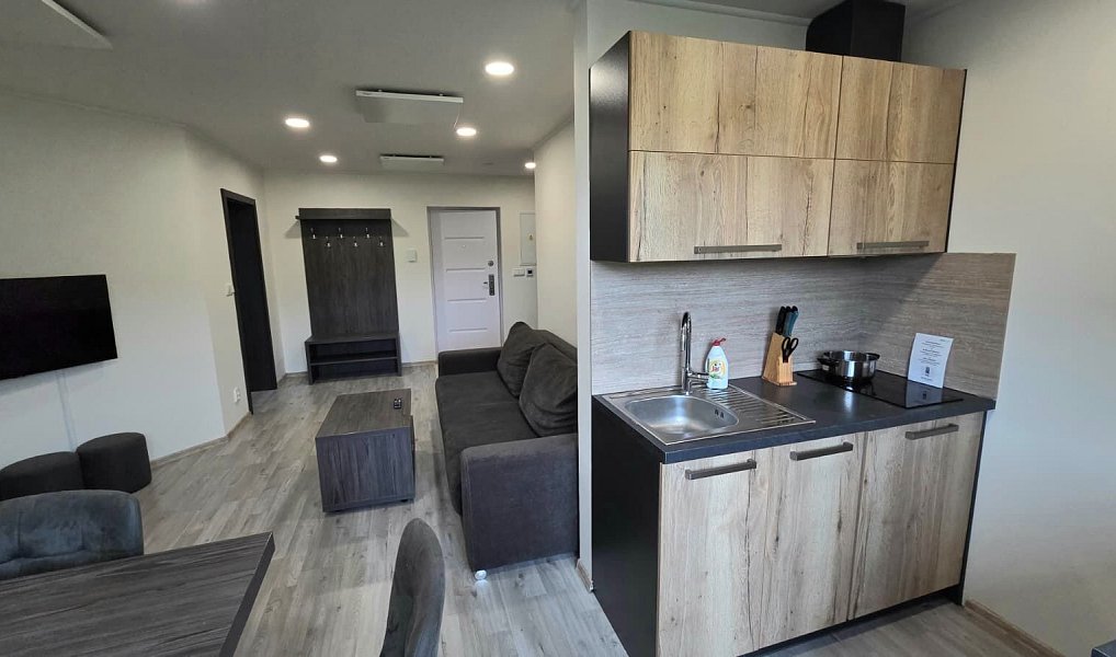 Prodej bytu 3+kk 60 m², Loučná pod Klínovcem – náhled fotky 13