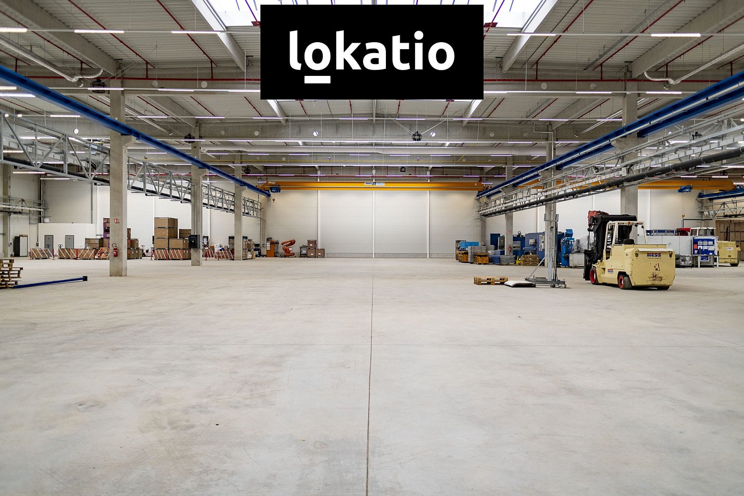 Pronájem skladovacích prostor 5 000 m² — photo 4