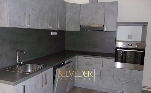 Pronájem bytu 2+1 64 m², Masarykova třída, Teplice - Trnovany